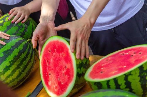 在学校看吃瓜,揭秘校园里的那些八卦趣事