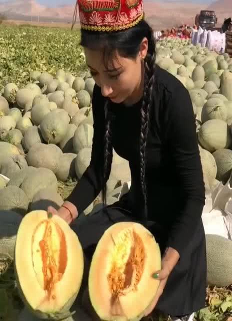 新疆人吃瓜,探寻新疆人独特的“吃瓜”文化