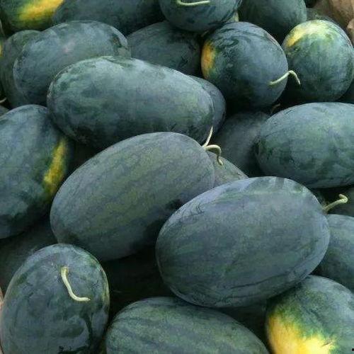 正义吃瓜黑料,揭秘娱乐圈黑料风云